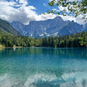 Fundament van Transformational Presence (Live) september 2025